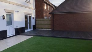 backyard grass